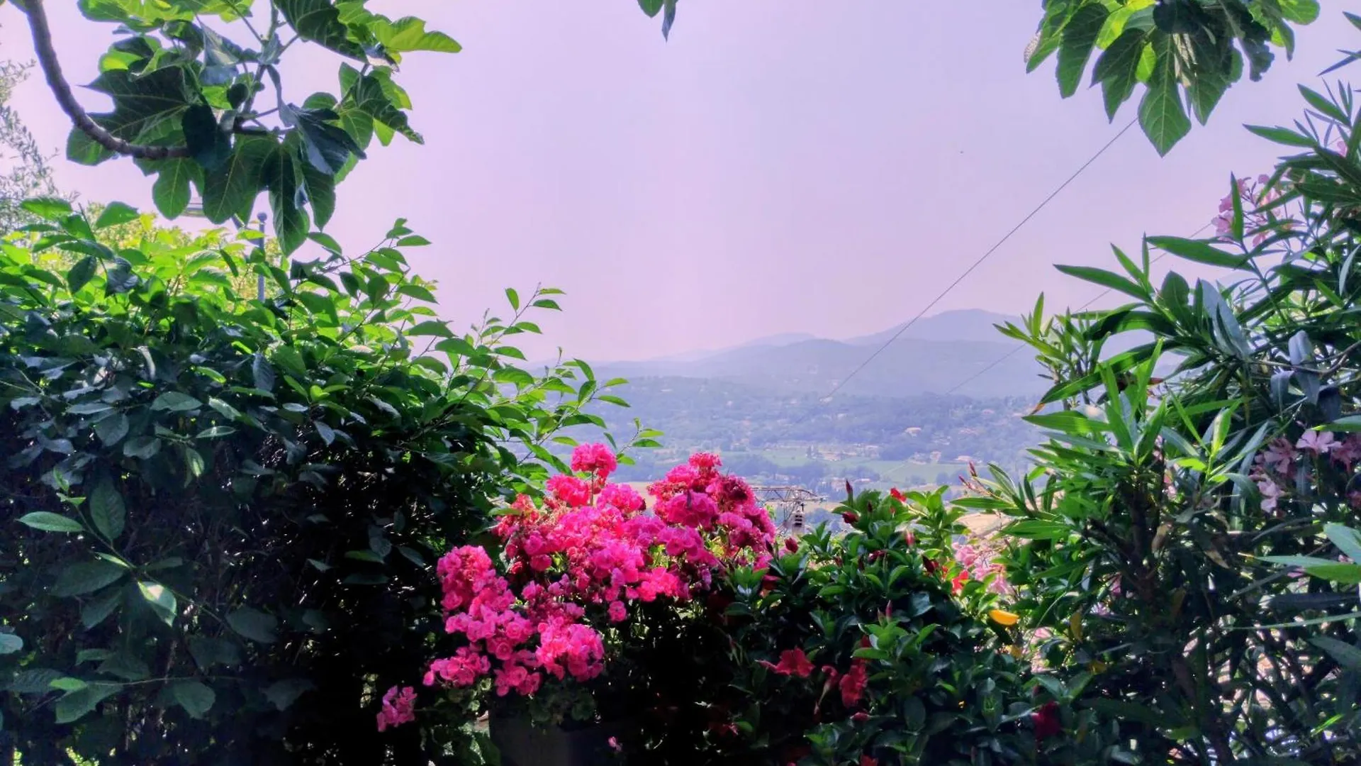 Mas De La Coste Bed & Breakfast Fayence