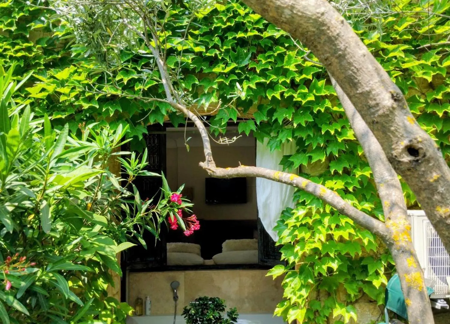 Mas De La Coste Bed & Breakfast Fayence
