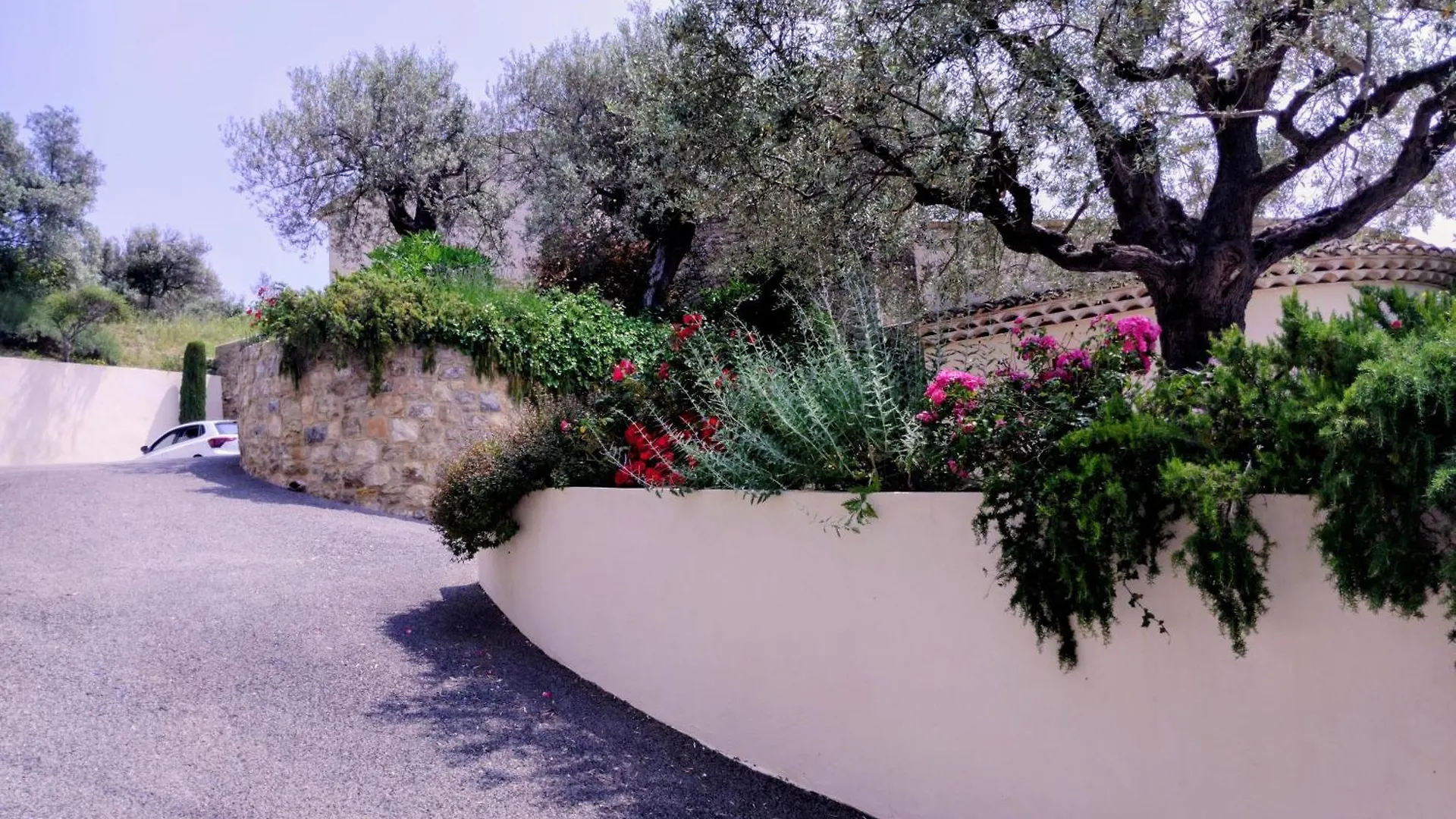 Mas De La Coste Bed & Breakfast Fayence